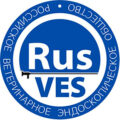Организаторы-RusVES