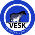 Организаторы-VESK