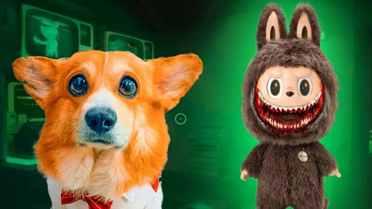 артроскопия собак