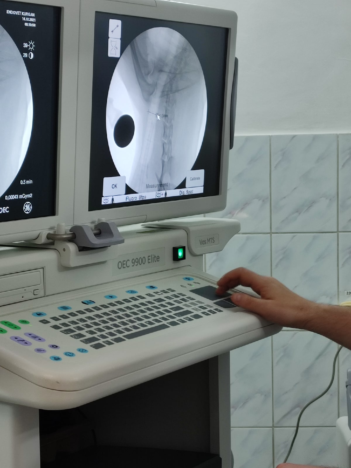 коллапс трахеи у йоркширский терьер 