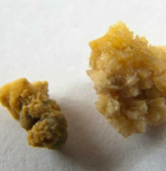 Оксалаты кальция МКБ у кошек