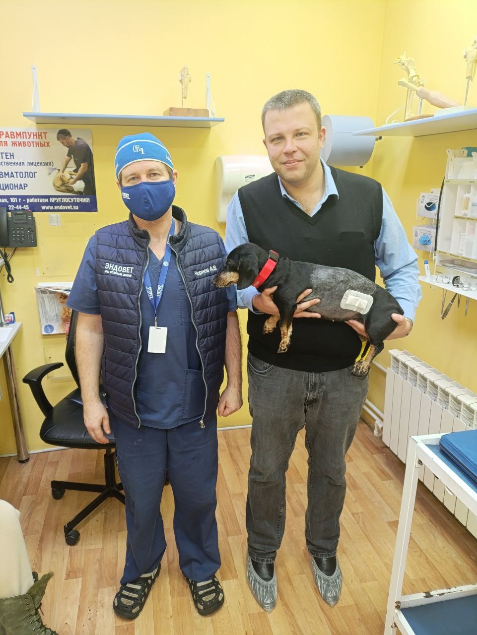 Литотрипсия дробление камней у собак