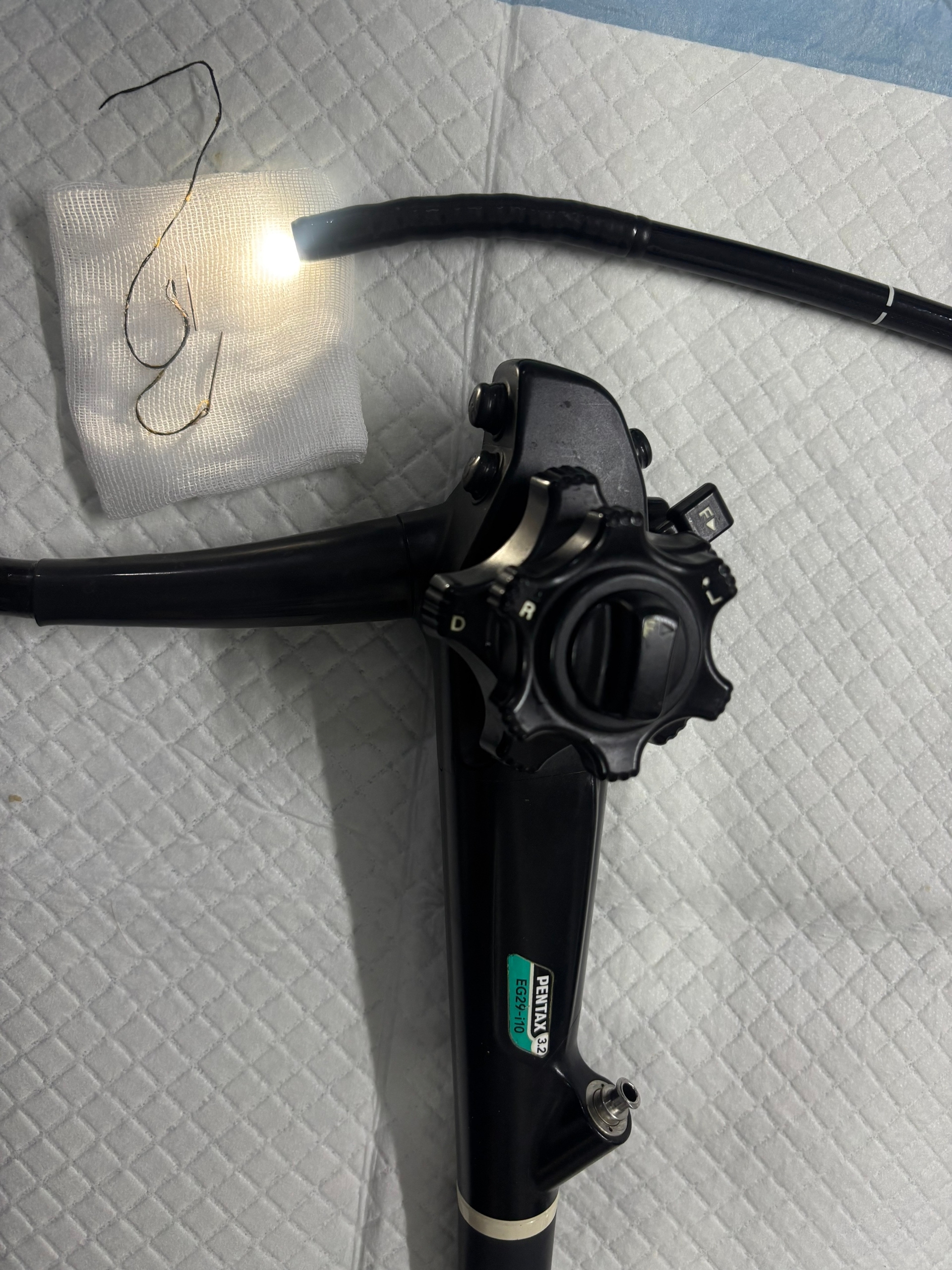 Удаление инородного тела у собаки