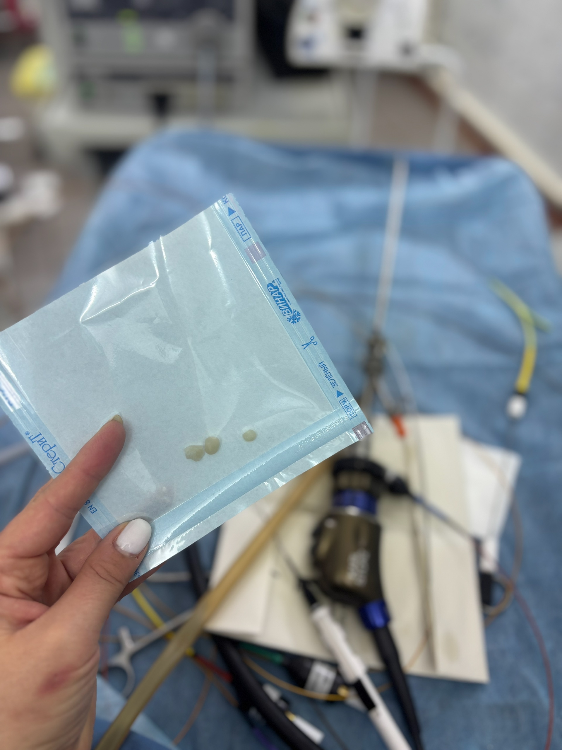 Удаление камней из мочевого пузыря собаки