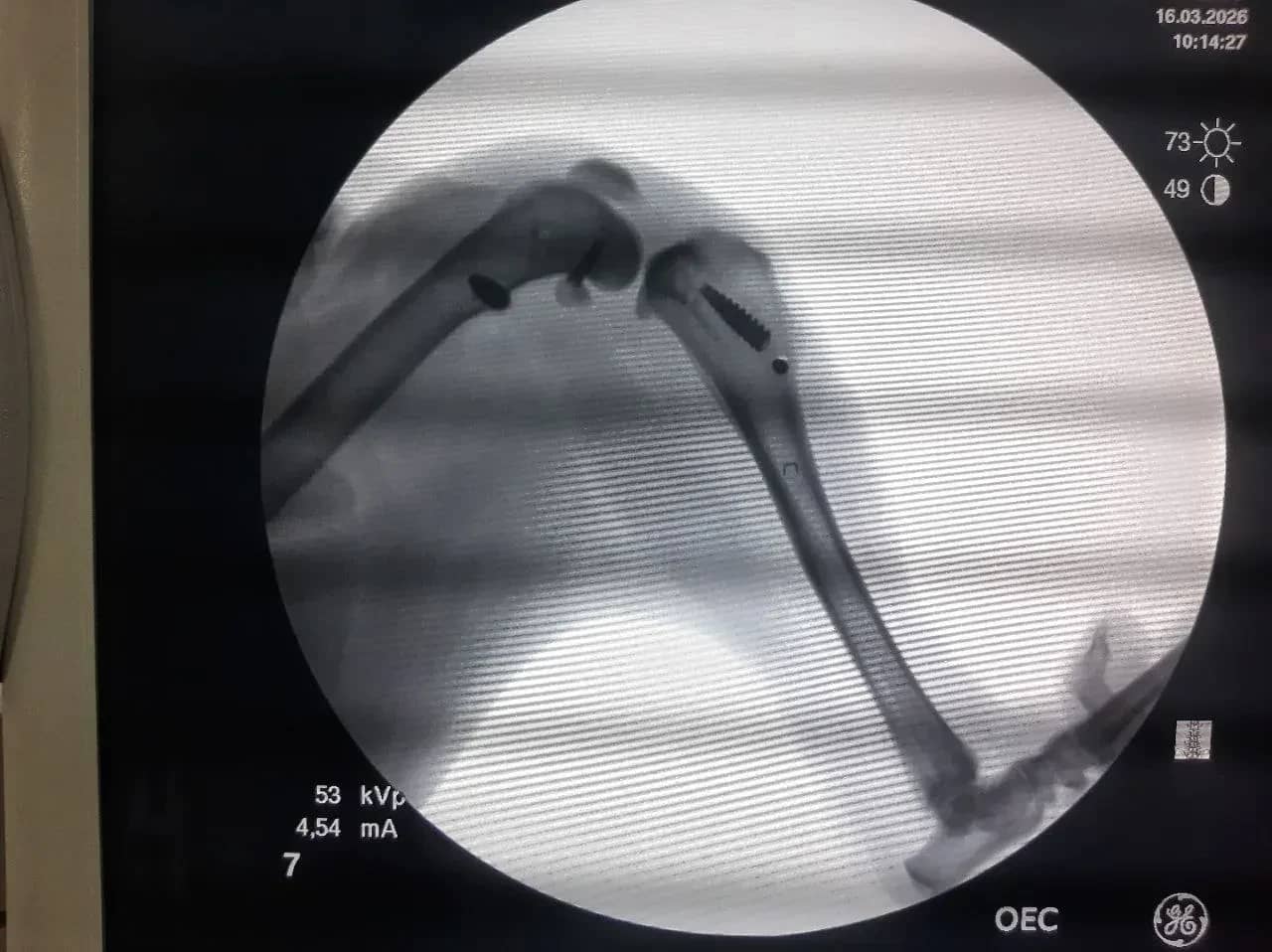 Лечение ПКС у собак