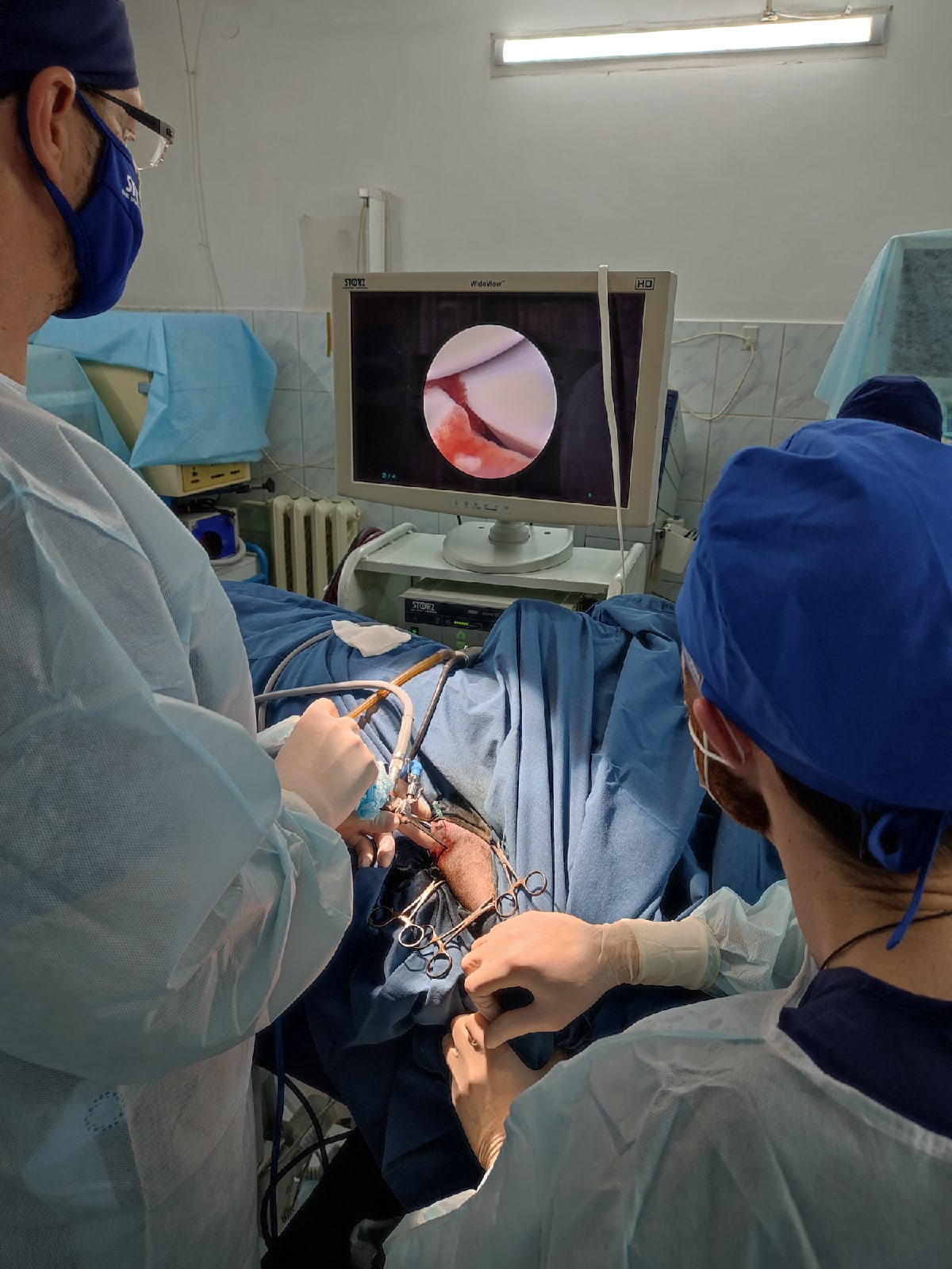 Артроскопия локтевого сустава у собак